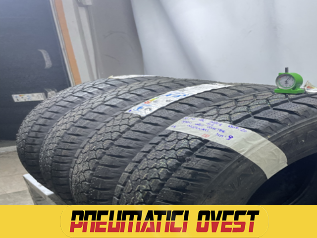 DAYTON WINTER 215/70 R15 109R INVERNALE