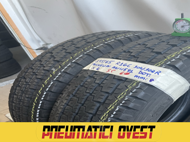 MICHELIN AGILIS 195/65 R16 104R ESTIVA