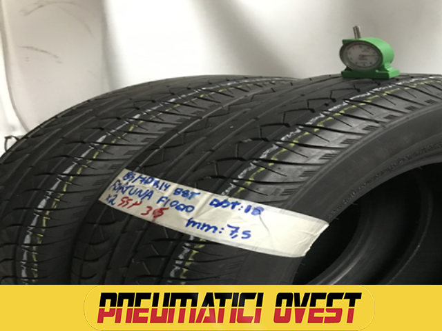 FORTUNA F1000 185/70 R14 88T ESTIVA